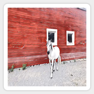 Boyfriend at the Lld Red Barn Sticker